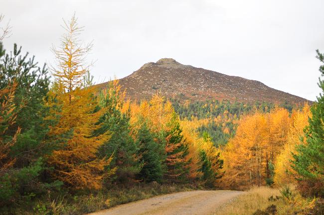 Bennachie in Aberdeenshire, Scotland